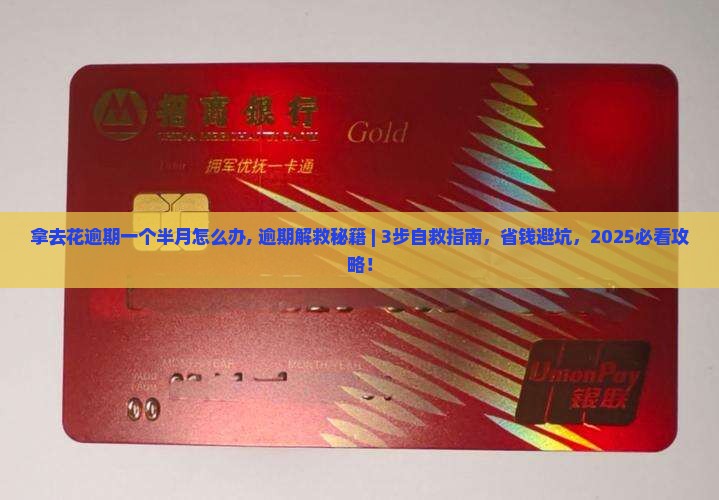 拿去花逾期一个半月怎么办