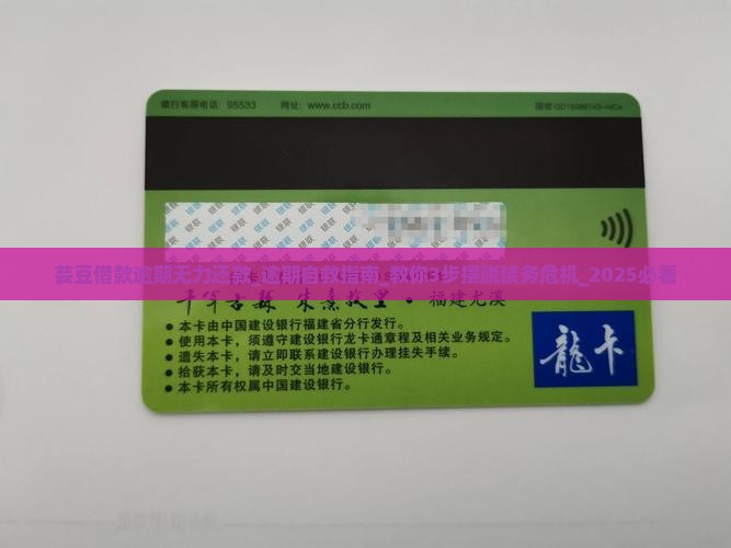 芸豆借款逾期无力还款