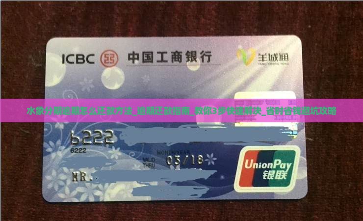 水象分期逾期怎么还款方法