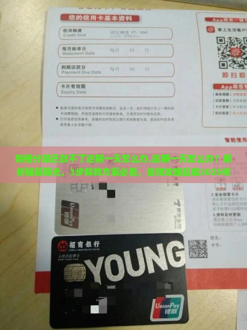 新橙分期还款不了逾期一天怎么办 新橙分期还款不了逾期一天怎么办