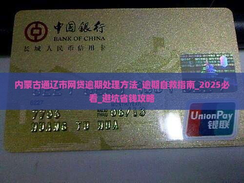 内蒙古通辽市网贷逾期处理方法