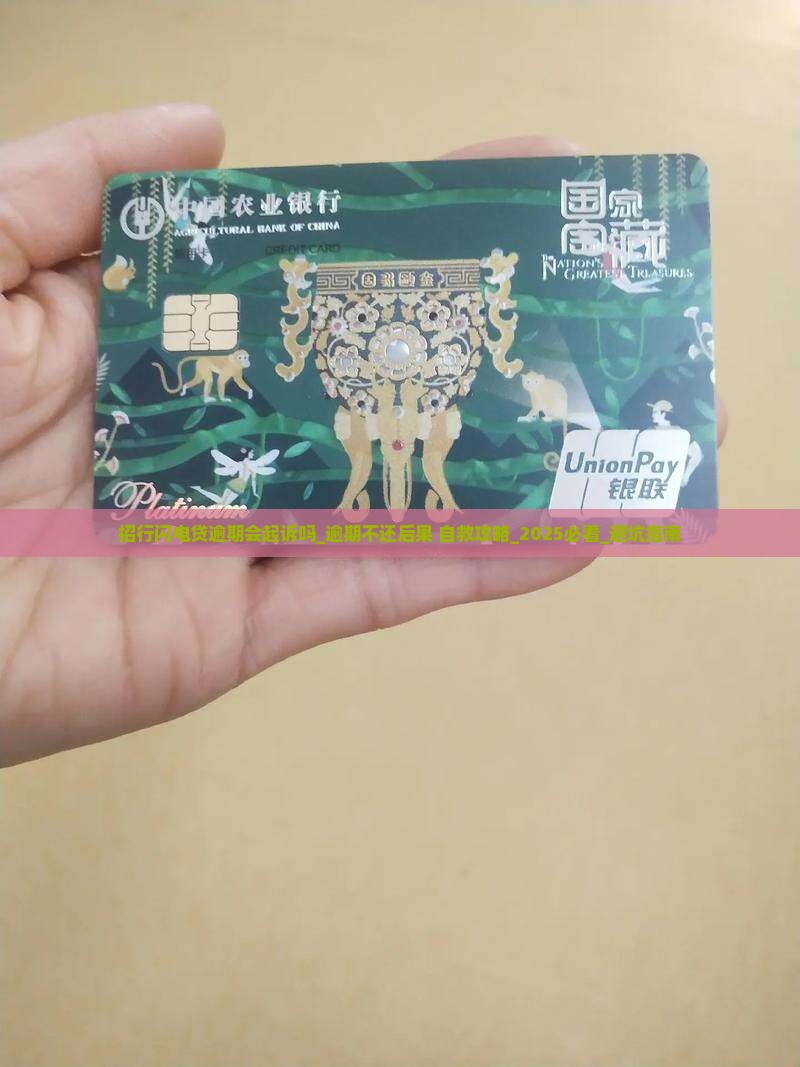 招行闪电贷逾期会起诉吗 招行闪电贷逾期会起诉吗