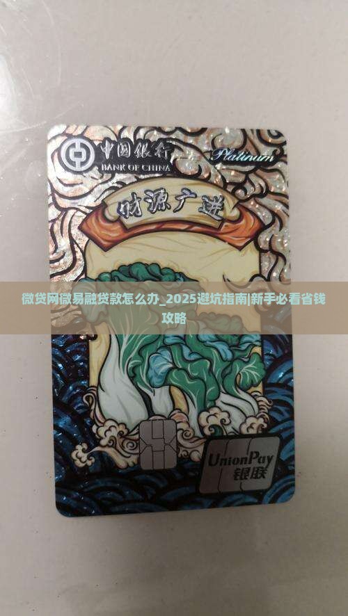 微贷网微易融贷款怎么办