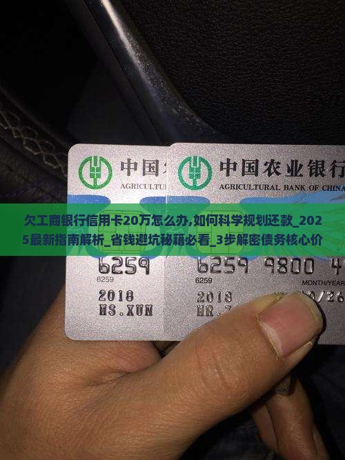 欠工商银行信用卡20万怎么办