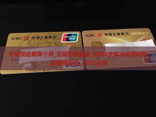 好期贷逾期两个月