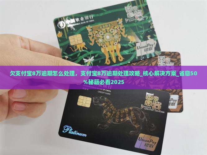 欠支付宝8万逾期怎么处理