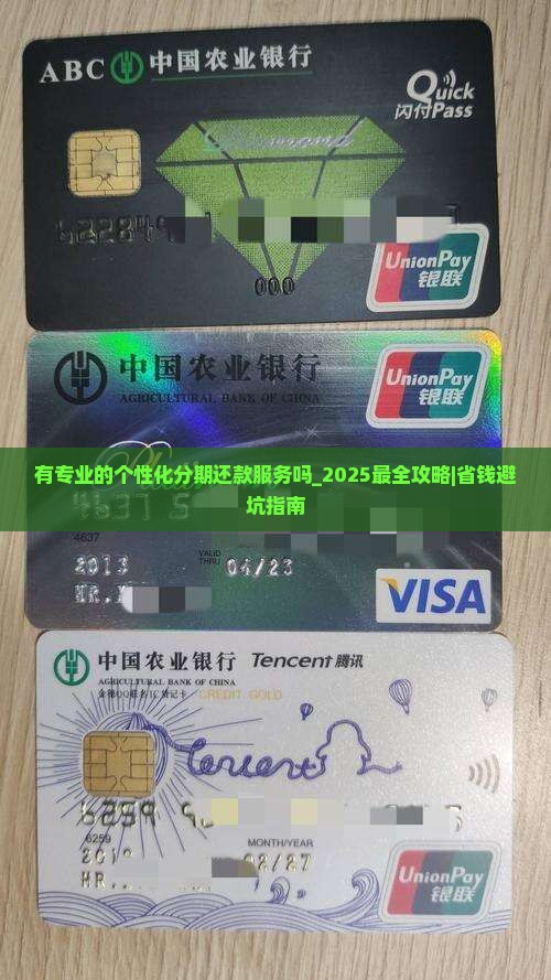 有专业的个性化分期还款服务吗 有专业的个性化分期还款服务吗