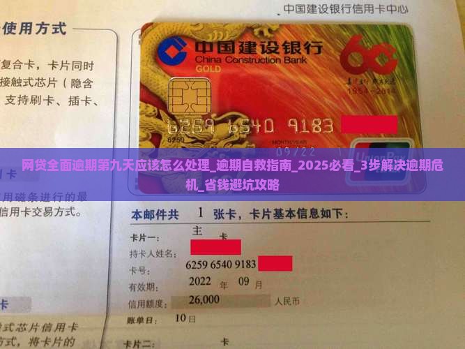 网贷全面逾期第九天应该怎么处理