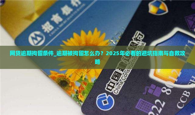 网贷逾期拘留条件