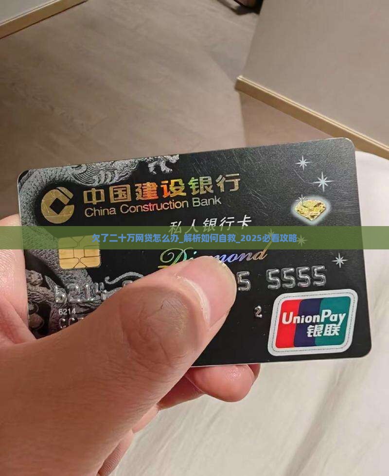 欠了二十万网贷怎么办 欠了二十万网贷怎么办