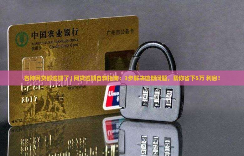 各种网贷都逾期了