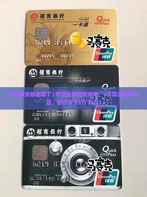 各种网贷都逾期了