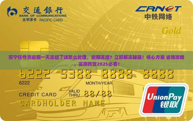 苏宁任性贷逾期一天冻结了该怎么处理