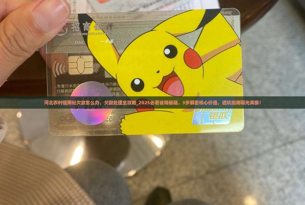 河北农村信用社欠款怎么办