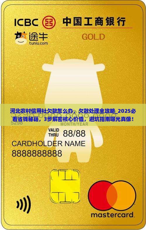 河北农村信用社欠款怎么办