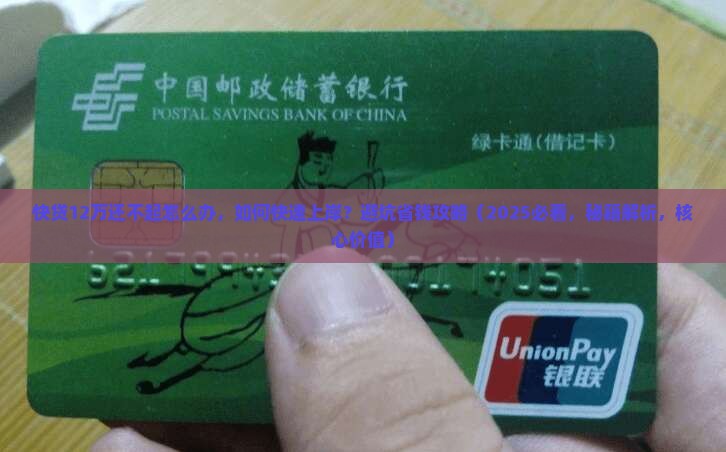 快贷12万还不起怎么办