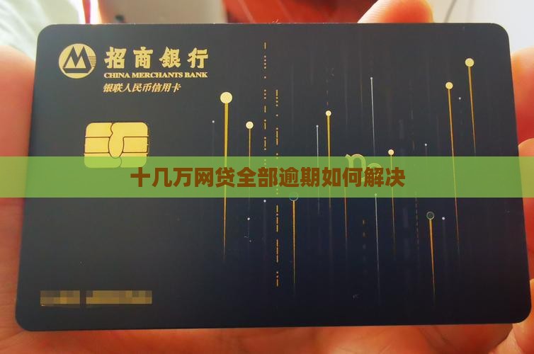 十几万网贷全部逾期如何解决