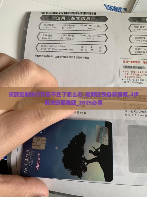 贷款逾期执行罚息不还了怎么办