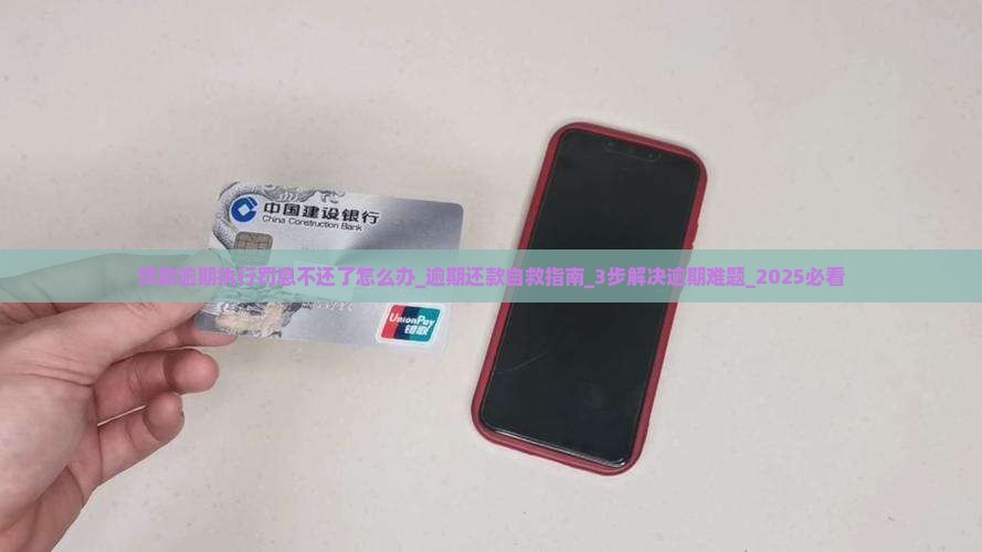 贷款逾期执行罚息不还了怎么办