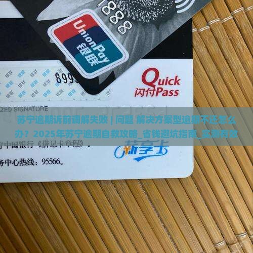 苏宁逾期诉前调解失败