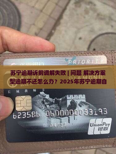 苏宁逾期诉前调解失败