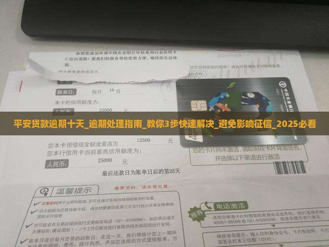 平安贷款逾期十天