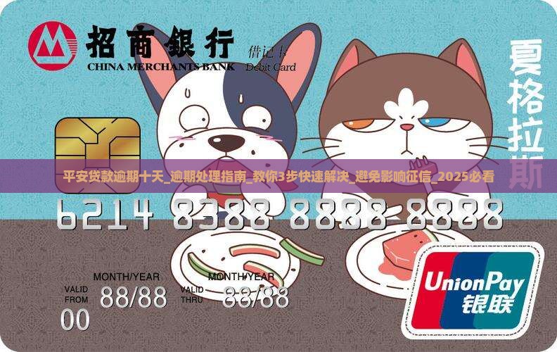 平安贷款逾期十天