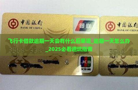 飞行卡借款逾期一天会有什么后果呢