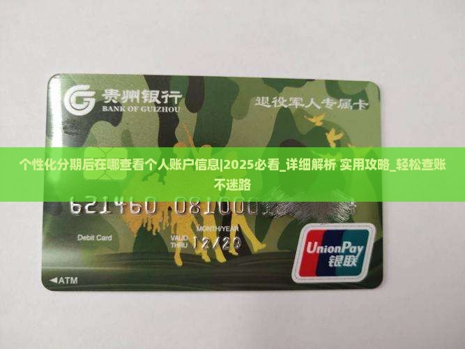 个性化分期后在哪查看个人账户信息