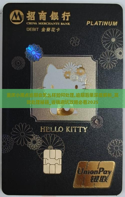 重庆小雨点逾期会怎么样如何处理
