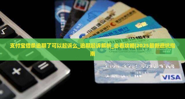 支付宝借条逾期了可以起诉么