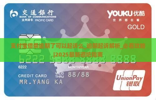 支付宝借条逾期了可以起诉么