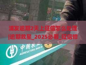 浦发逾期2天上征信怎么处理 浦发逾期2天上征信怎么处理