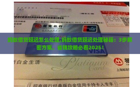 蚂蚁借贷延迟怎么处理