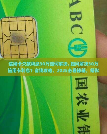 信用卡欠款利息30万如何解决