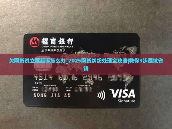 欠网贷说立案起诉怎么办