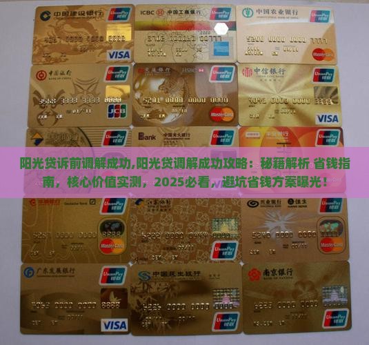 阳光贷诉前调解成功