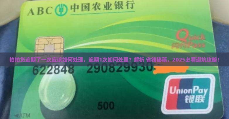 拍拍贷逾期了一次应该如何处理
