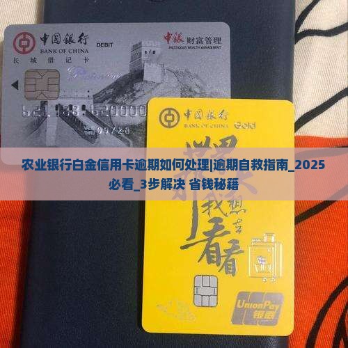 农业银行白金信用卡逾期如何处理 农业银行白金信用卡逾期如何处理