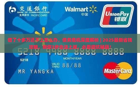 借了十多万还不上怎么办