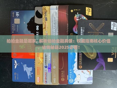 拍拍金融是哪家 拍拍金融是哪家