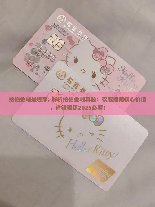 拍拍金融是哪家 拍拍金融是哪家