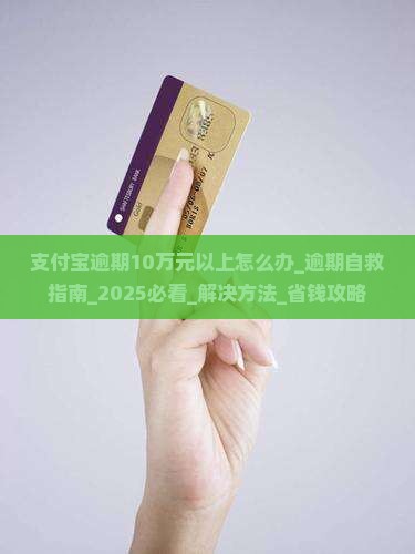 支付宝逾期10万元以上怎么办