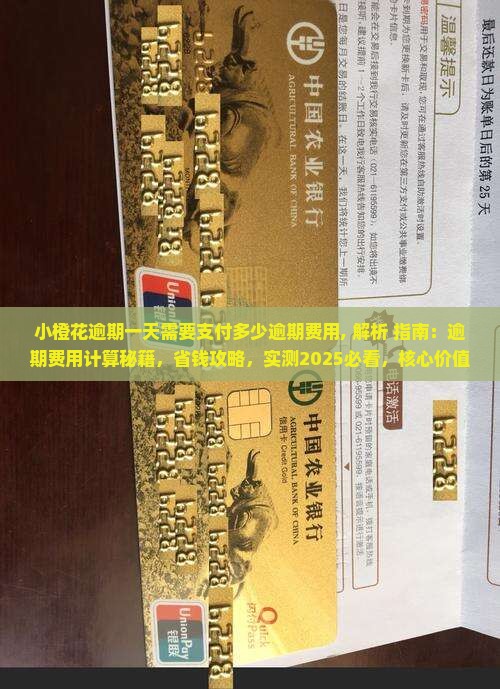 小橙花逾期一天需要支付多少逾期费用