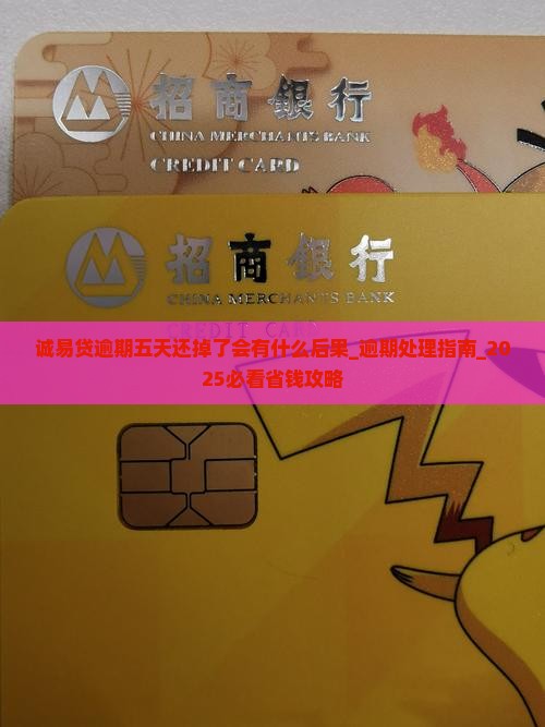 诚易贷逾期五天还掉了会有什么后果 诚易贷逾期五天还掉了会有什么后果