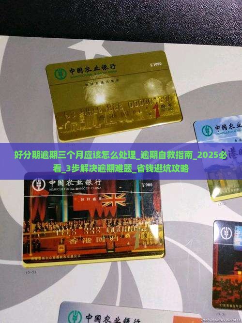 好分期逾期三个月应该怎么处理