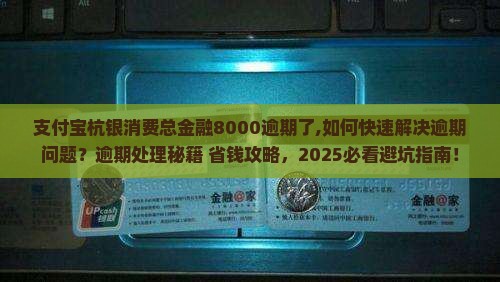 支付宝杭银消费总金融8000逾期了