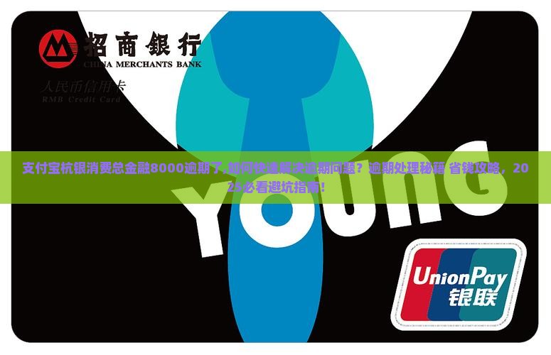 支付宝杭银消费总金融8000逾期了