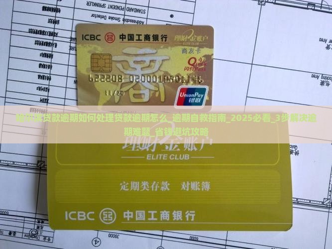 哈尔滨贷款逾期如何处理贷款逾期怎么办理