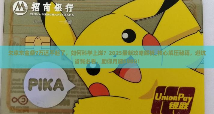 欠京东金条7万还不起了
